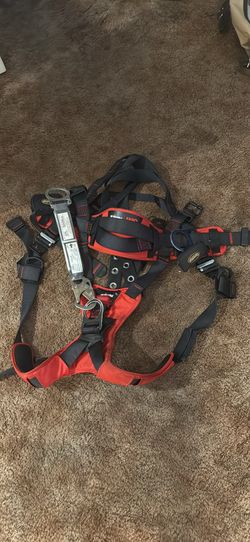 Safety harness