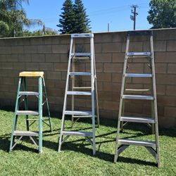 6'  And  4' Ladders