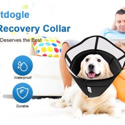 Cryptodogie Dog Cone Collar, Medium