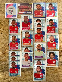 FIFA World Cup Panini Stickers