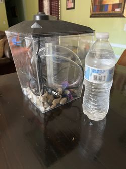 1 Gallon fish tank with accessories