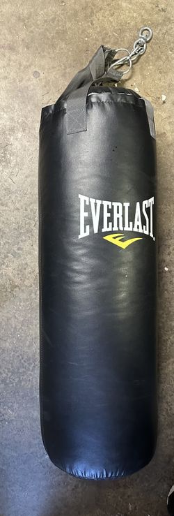 Everlast 70lb punching bag