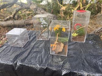 Reptile/Fish/Spider Supplies