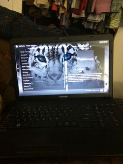 Toshiba satellite c655 Laptop 15.6in