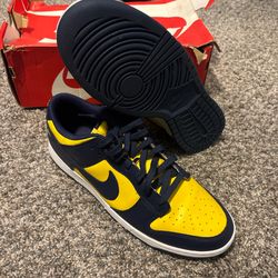 Nike Dunks Michigan