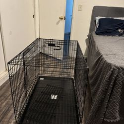 Dog Cage