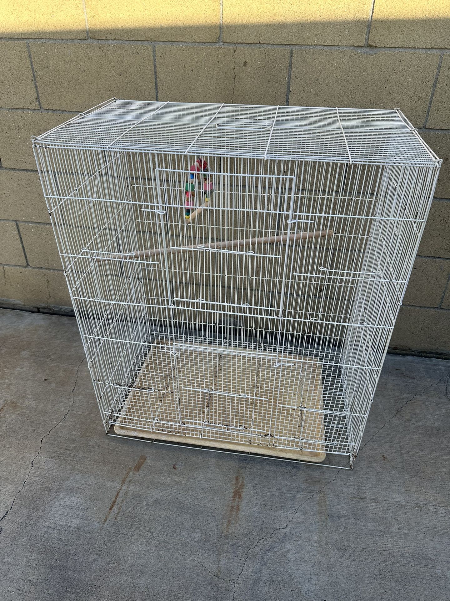 Bird Cage