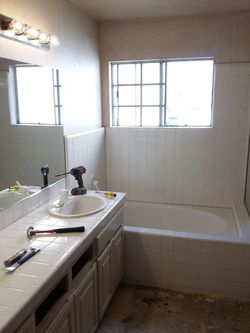 Vanity stand up shower & glass