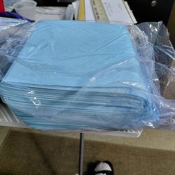 BRAND NEW NEVER USED WEE WEE PADS SMALL PACK 