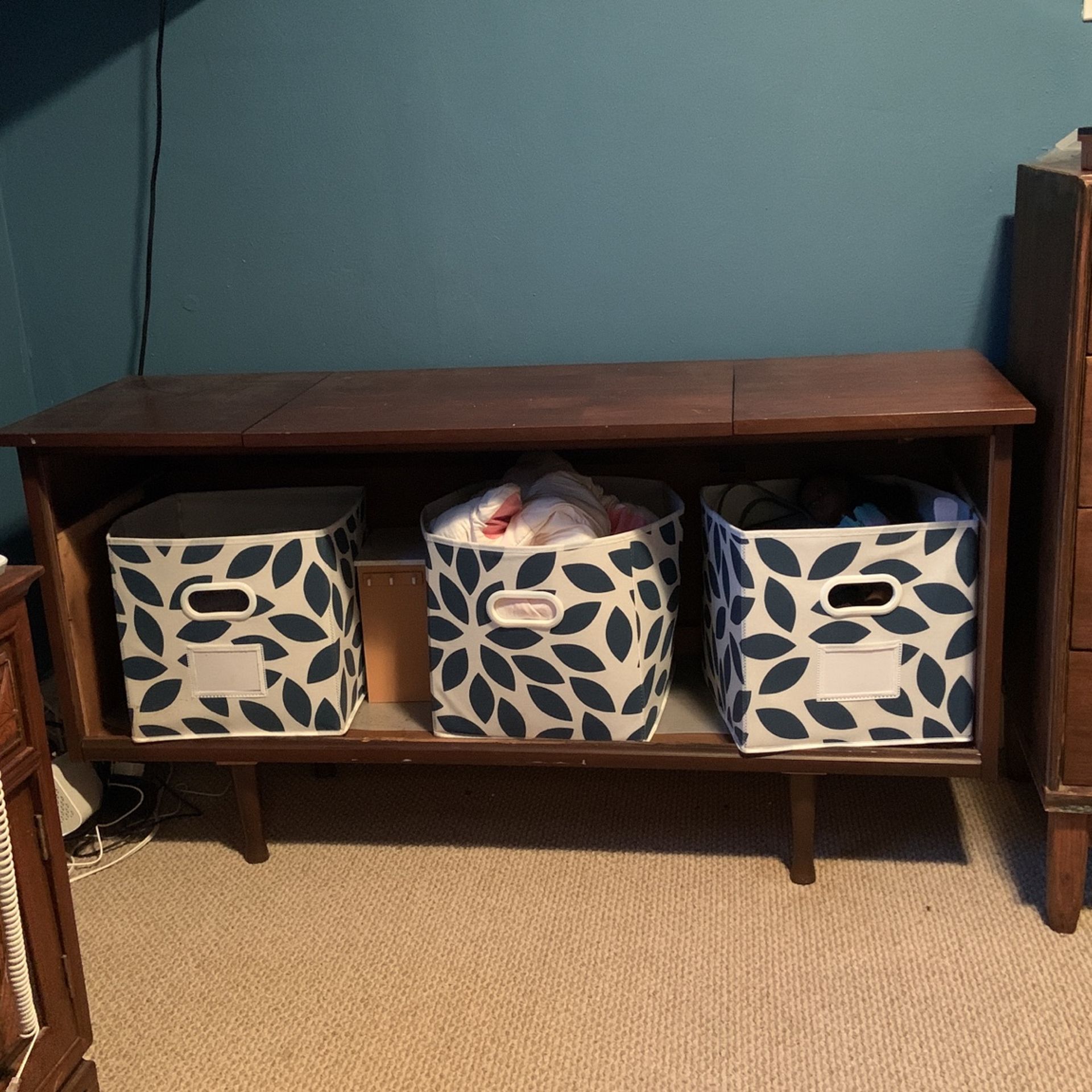 Mid Century Modern Stereo Cabinet 