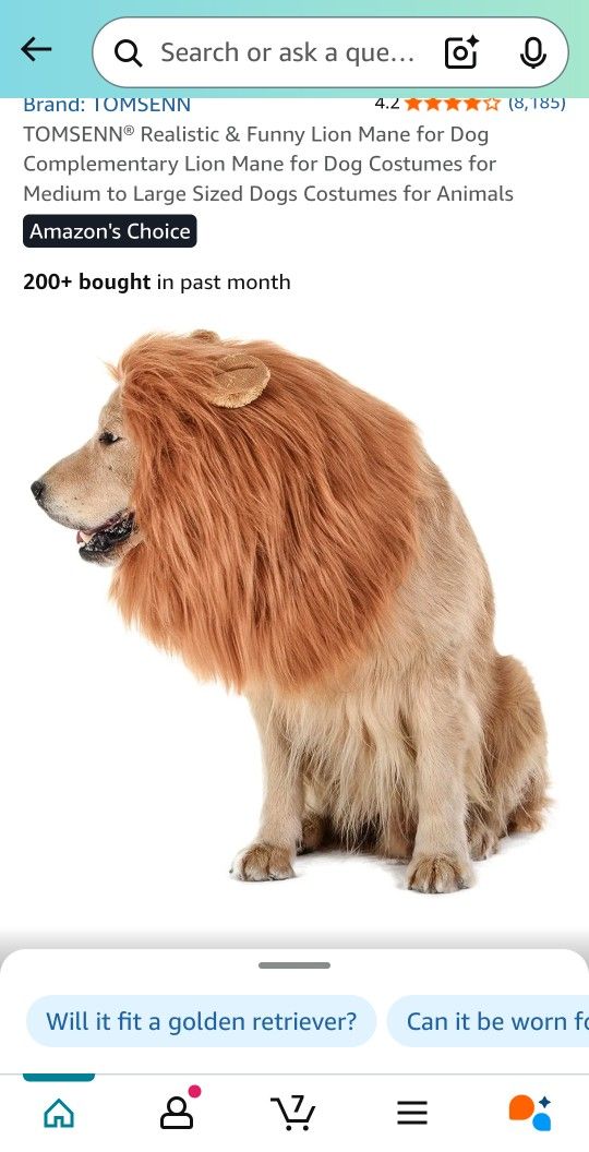 Dogs Lion Costume  