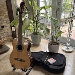Guitar, Stand, Case And Strings.