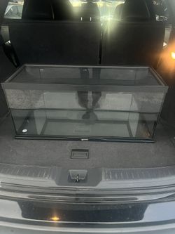 20 Gallon Fish Tank