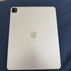 iPad Pro 12.9 256gb 4th Gen 
