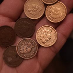 8 indiannhead penny 