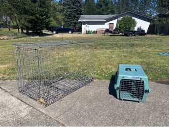 Cat/small dog carrier and wire kennel