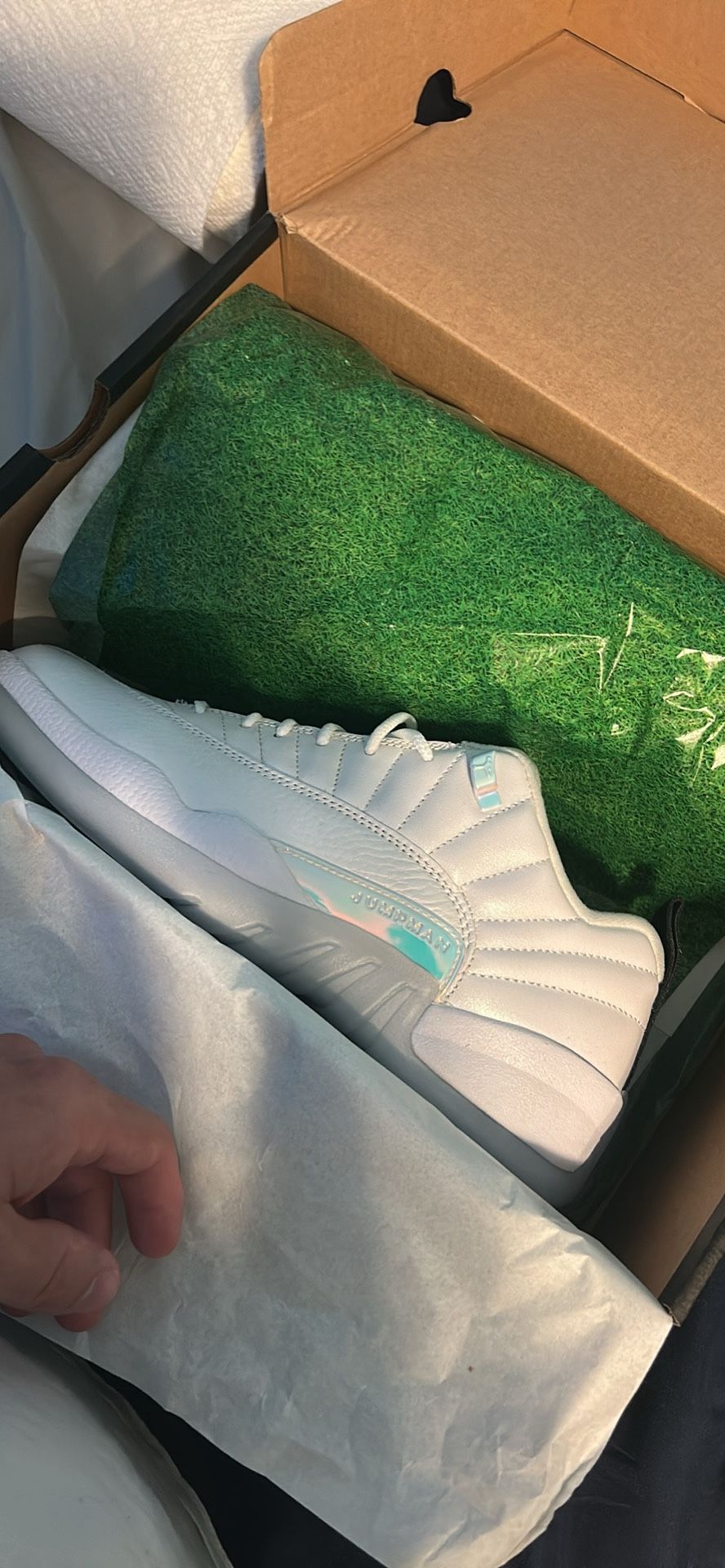 Jordan 12s Low