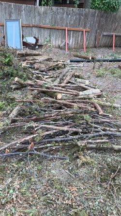 Free firewood