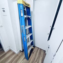 Werner 6ft Ladder