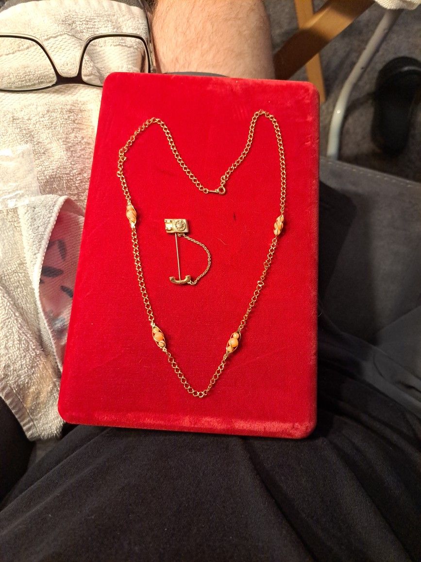 2 Avon Vintage Pieces Rare Combo Necklace 22" Pin