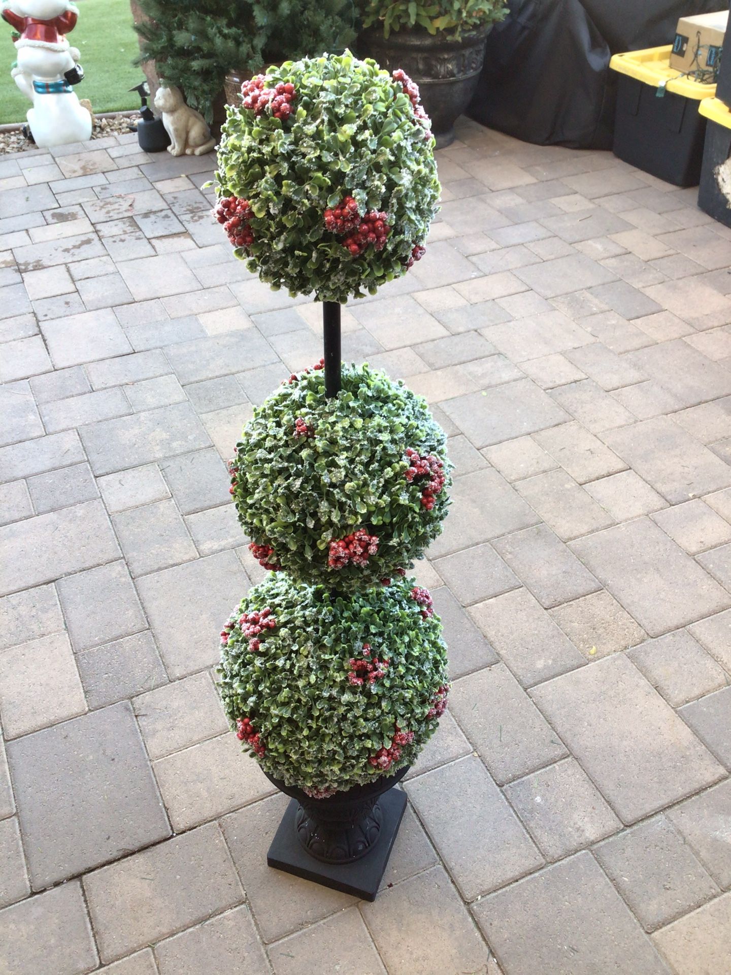 Topiary Tree