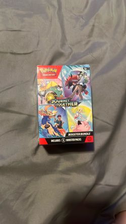 Pokémon Journey together