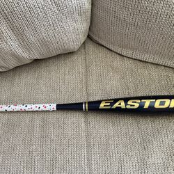 Easton Alpha ALX 30/-10 USSSA Bat