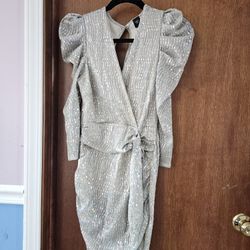 Silver Shining Dress