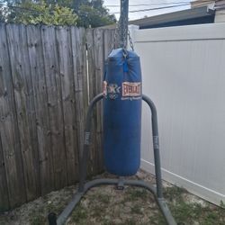 Everlast Boxing Bag With Bag Stan Stainless Steel Change Prize To $100