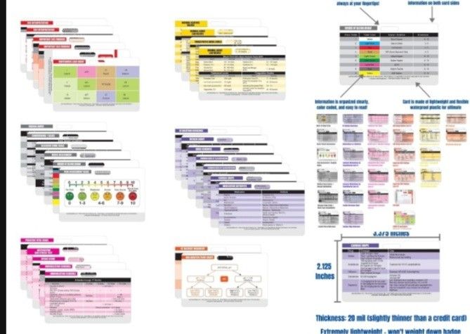 Nurse Nation 30 Badge reference cards Nursing School