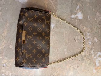 Magnetic Woman’s LV Purse