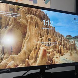 LG MONITOR 