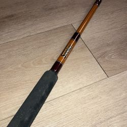 Seeker Conventional Rod 20-50lb