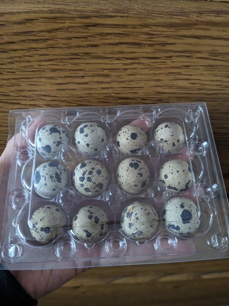 Quail Eggs