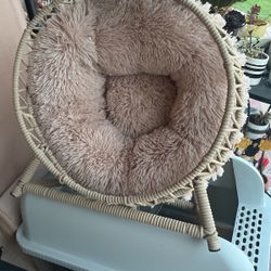 Cat Bed