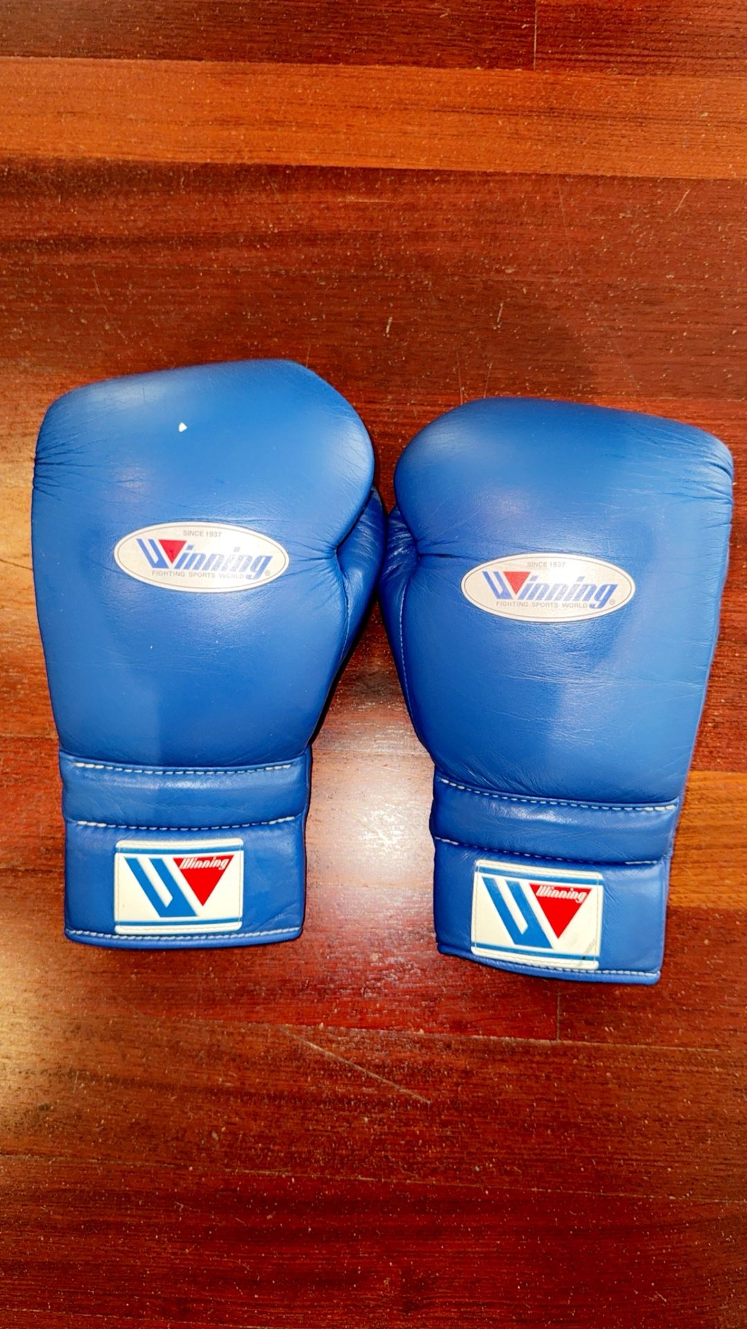 Winning Boxing Gloves
