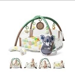 Baby Activity Gym & Ball Pit