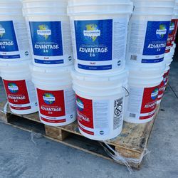 Paint Interior & Exterior 