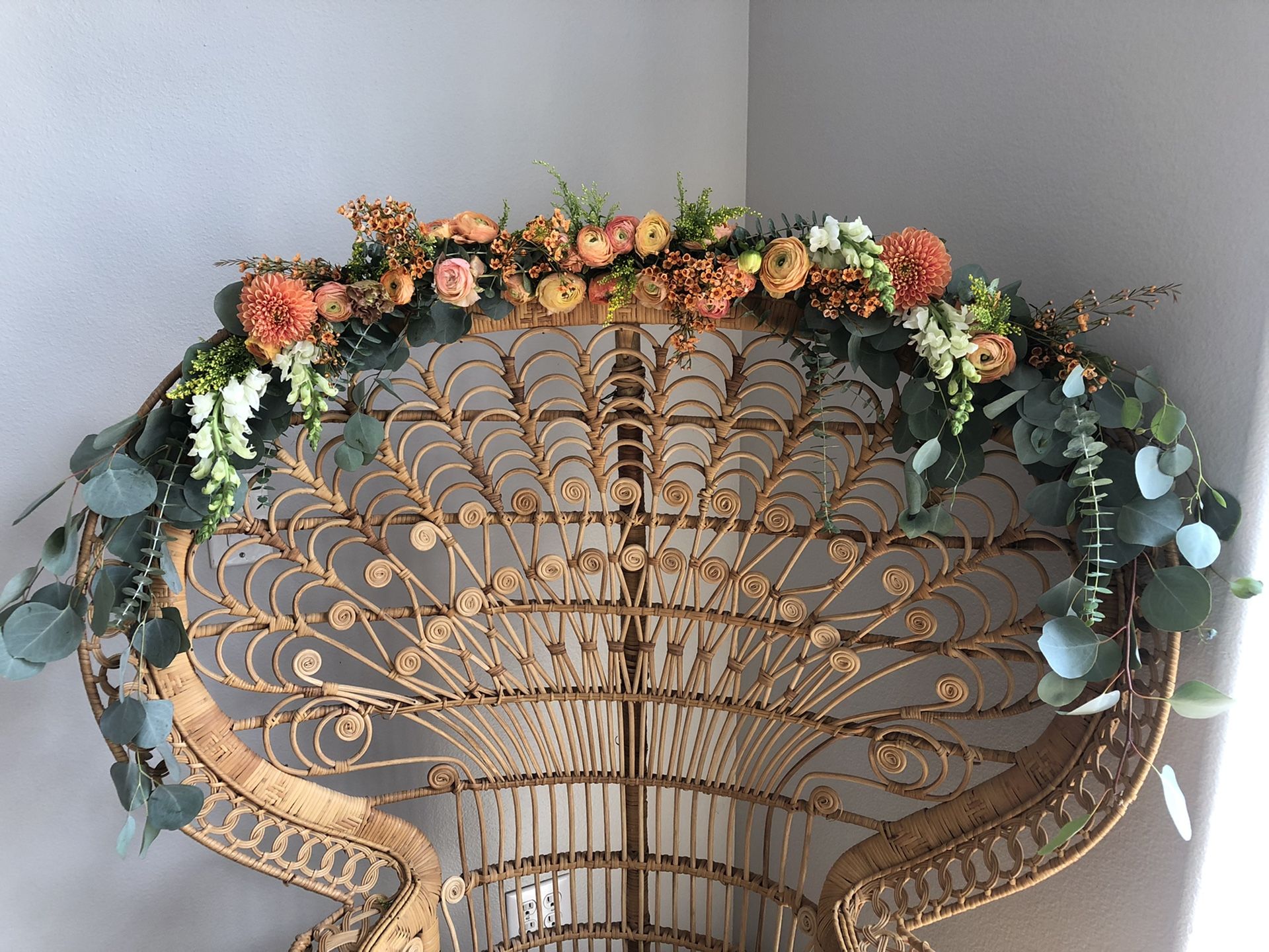 Peacock chair