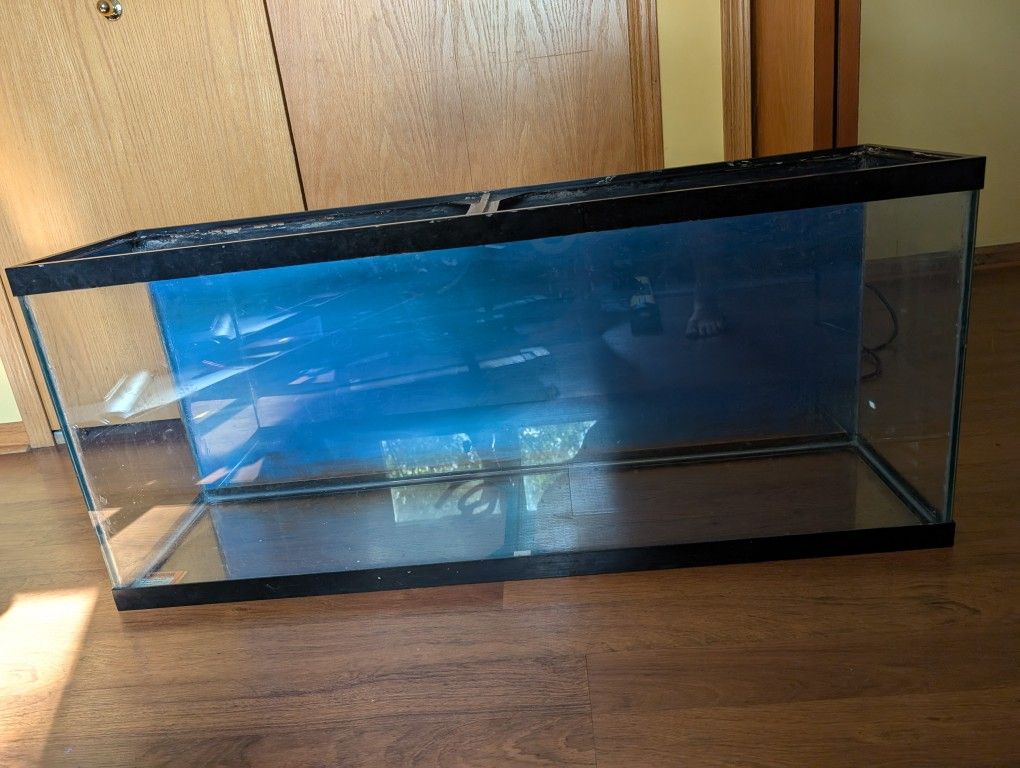 55 Gallon Fish Tank