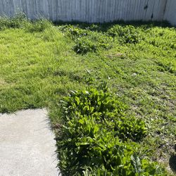 Jardinero