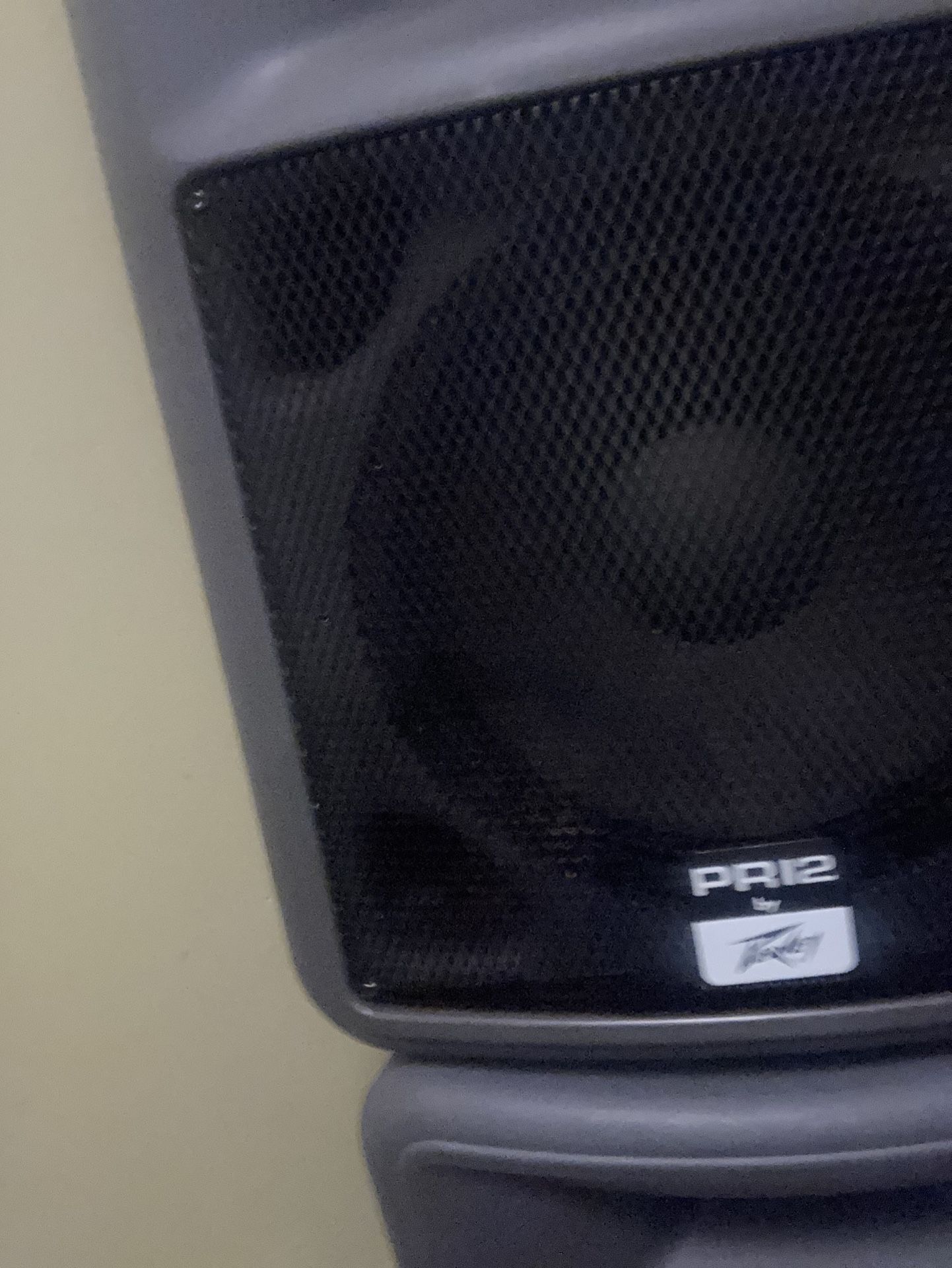 (2) Sub Woofer Speakers