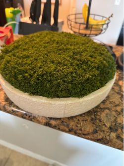Plant hearth and hand