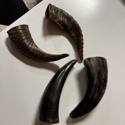 Horns (No Idea Type)