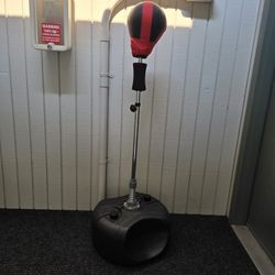 Punching Bag for Boxing Training