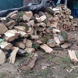 Dry Firewood 