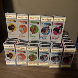 Are you looking to protect your tenderloin from fleas and ticks? 🐾