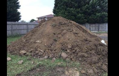 Free clean dirt free delivery