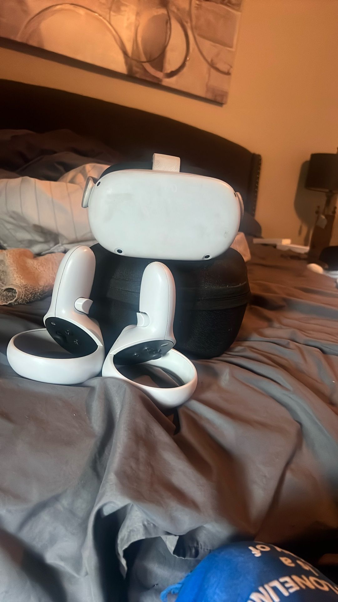 Selling My Vr And It’s Case And Controllers