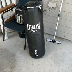 Everlast Punching Bag – Great Condition (Minor Fix Needed)